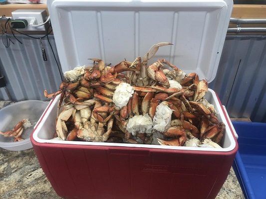 Book Ketchikan Fishing Charter 2026