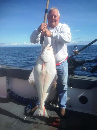 Fisherman makes catch of a lifetime – a 400 pound halibut