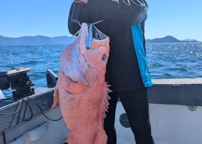 Guided Fishing Pics 2024