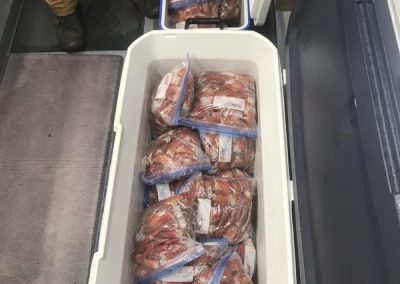 Guided Fishing Pics 2025