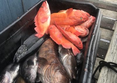 Guided Fishing Pics 2025