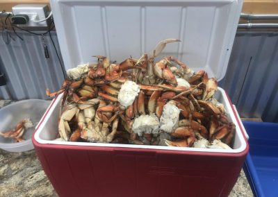 Guided Fishing Pics 2025