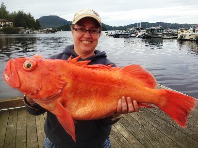 Guided rockfish fishing expedition